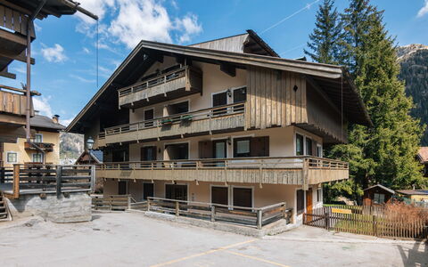 Canazei 540: Wohnung, Balkon, Parkplatz, Abstellgleis, Holz, Blockhaus