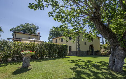Villa Del Monte: Eigentum, Baum, Haus, Grundeigentum, Zuhause, Gras, Gebäude, Estate, Gehölz, Die Architektur