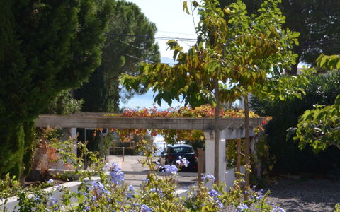 Llançà 381: Brücke, Baum, Garten, Botanik, Pflanze, Frühling, Strauch, Haus, Blume, Ländliches Gebiet
