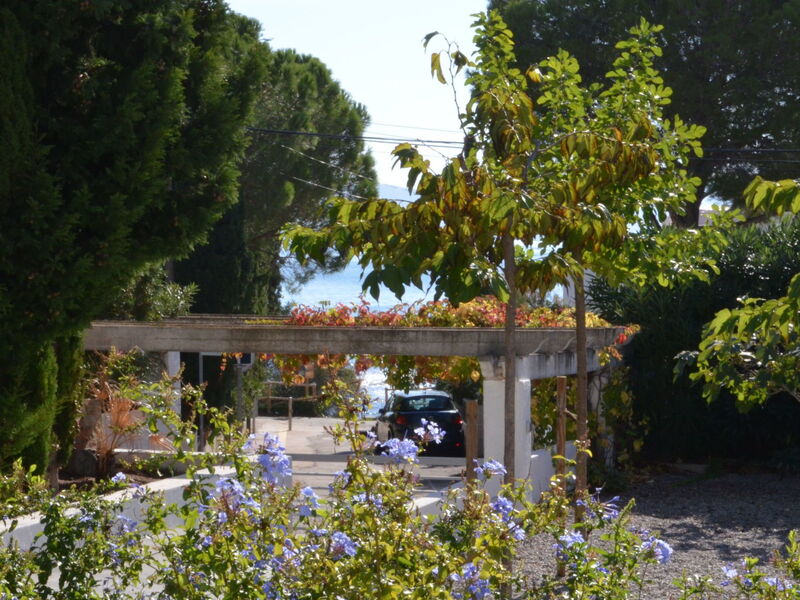 Llançà 381