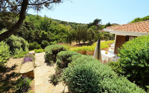 Canayli: Vegetation, Eigentum, Haus, Garten, Botanik, Grundeigentum, Baum, Gebäude, Ländliches Gebiet, Strauch