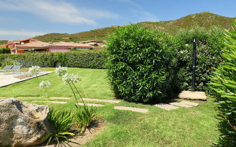 Iris: Gras, Grün, Garten, Vegetation, Eigentum, Natürliche Landschaft, Baum, Strauch, Graspflanze, Haus