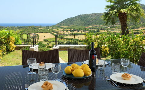Panorama 2: Eigentum, Tabelle, Mahlzeit, Gelb, Frühstück, Urlaub, Brunch, Resort, Möbel, Grundeigentum