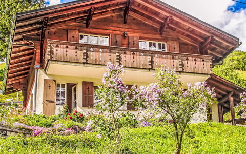 Chalet Reinhysi: Haus, Hütte, Zuhause, Ländliches Gebiet, Bauernhaus, Senke, Veranda, Garten, Dorf