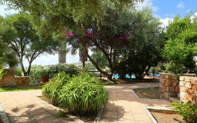 Bouganville