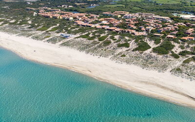 Bouganville