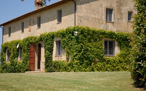 Podere San Giovanni: Pflanze, Gebäude, Fenster, Eigentum, Himmel, Vegetation, Grundstueck, Gras, Hütte, Haus
