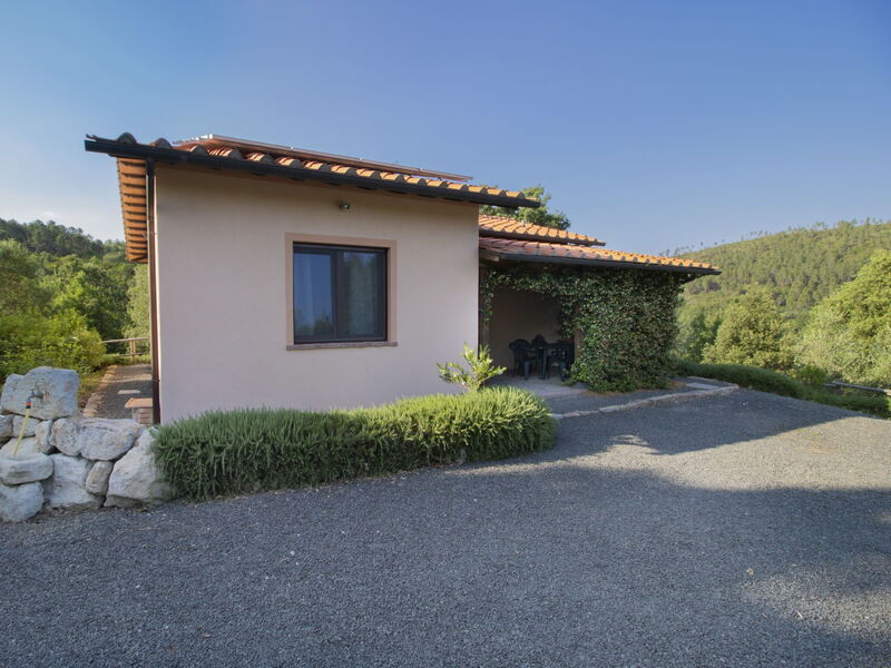 Casa la Selvolina
