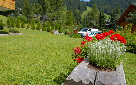 Aiguilles Dorées Iii 2: Pflanze, Blume, Pflanzengemeinschaft, Berg, Baum, Himmel, Wolke, Blatt, Auto, Natürliche Landschaft
