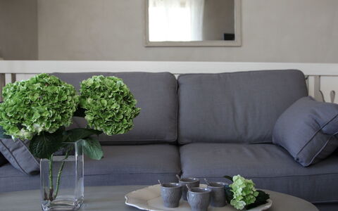 Agave: Grün, Wohnzimmer, Möbel, Kaffetisch, Zimmer, Couch, Interior Design, Tabelle, Eigentum, Wand