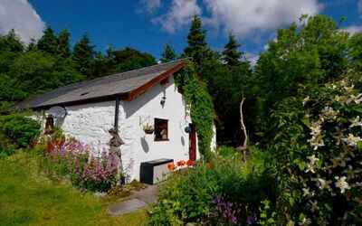 Maes-yr-helmau