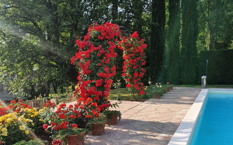 Torre del Cielo: Wasser, Blume, Pflanze, Grün, Baum, Vegetation, Blütenblatt, Gras, Blumentopf, Landschaft