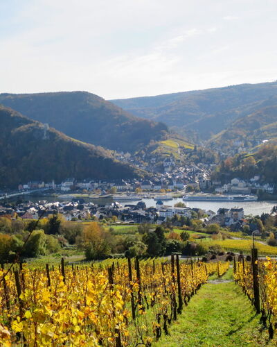 Moselhäuschen