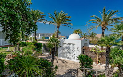 Oasis Ii