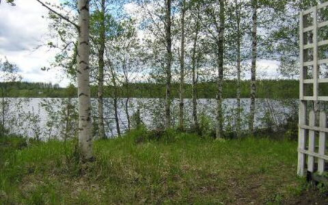 Mariantupa: Holz, Hütte, Blockhaus, Wald, Schuppen, Gartenbauten, Lärche, Wald, Holzbeize