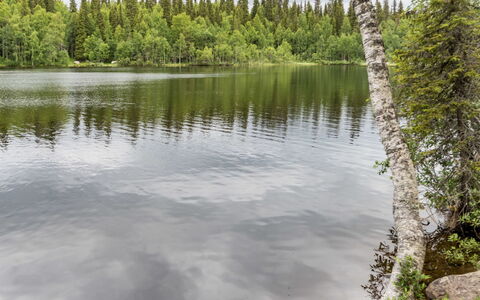 Lupporanta: Wasservorräte, Wasser, Gewässer, Natur, Natürlichen Umgebung, Natürliche Landschaft, Wasserlauf, Bank, Wasserweg, Reflexion