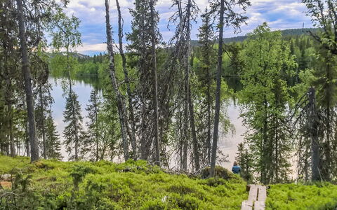 Lupporanta: Grün, Baum, Natürlichen Umgebung, Natur, Natürliche Landschaft, Wildnis, Wald, Bank, Pflanzengemeinschaft