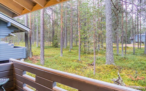 Purnukylä 6: Holz, Abstellgleis, Hartholz, Holzbeize, Planke, Daylighting