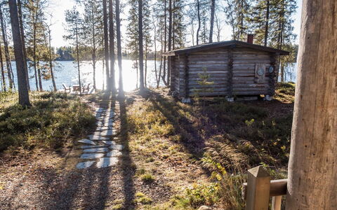 Putilanranta: Baum, Holz, Wald, Wald, Blockhaus, Kofferraum, Hütte, Lärche