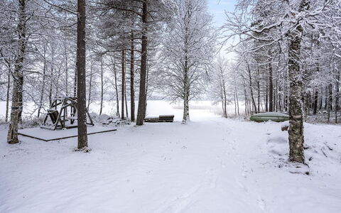 Keloranta: Schnee, Ast, Winter, Baum, Natürlichen Umgebung, Holz, Weiss, Zweig, Einfrieren, Wald