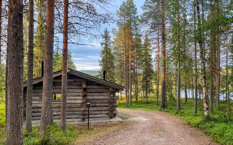 Keloveska: Baum, Holz, Natürliche Landschaft, Wald, Landschaft, Wald, Hain, Pflanzengemeinschaft