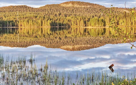 Keloveska: Wasser, Wasservorräte, Gewässer, Grün, Natur, Natürlichen Umgebung, Natürliche Landschaft, Bank, Reflexion, Wildnis
