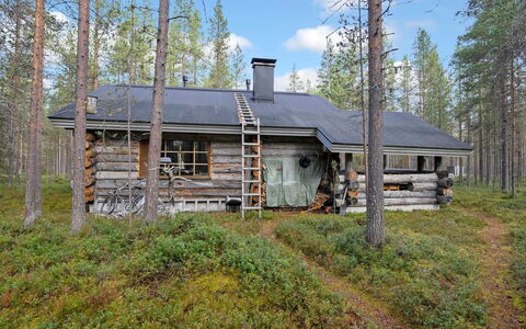 Rukanlumous 1: Hütte, Wald, Blockhaus, Lärche, Gartenbauten, Abstellgleis, Schuppen, Hütte