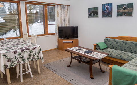 Karhunvartijan Linna B14: Möbel, Interior Design, Holz, Flooring, Fussboden, Decke, Zimmer, Couch, Wohnzimmer, Wohnung