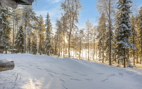 Kuontijärvi a: Ast, Winter, Schnee, Baum, Natürlichen Umgebung, Holz, Wald, Einfrieren, Wildnis