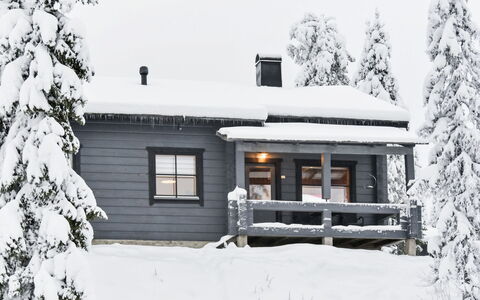 Kelkkatyttö: Holz, Abstellgleis, Hütte, Haus, Zuhause, Planke, Gartenbauten, Blockhaus, Hartholz, Veranda