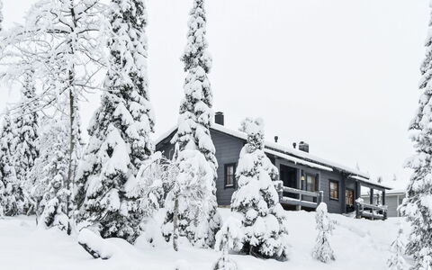 Kelkkatyttö: Holz, Abstellgleis, Hütte, Haus, Zuhause, Planke, Gartenbauten, Blockhaus, Hartholz, Veranda