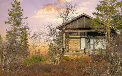 Kiehinen 2: Natur, Ast, Holz, Haus, Die Architektur, Hütte, Zuhause, Landschaft, Ländliches Gebiet, Zweig