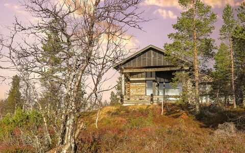 Kiehinen 2: Holz, Haus, Hütte, Schuppen, Dach, Ländliches Gebiet, Blockhaus, Hütte, Zweig, Gartenbauten