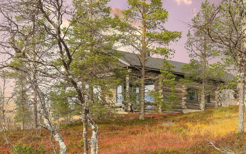 Kiehinen 2: Pflanzengemeinschaft, Hütte, Wald, Blockhaus, Schuppen, Gartenbauten, Lärche, Pine Familie
