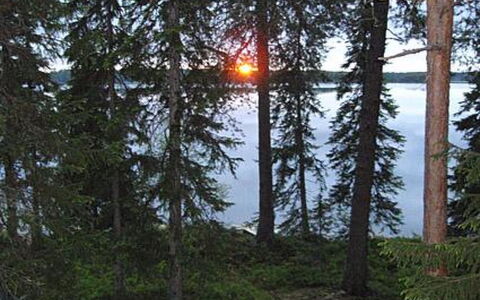 Rantapuro: Baum, Wildnis, Wald, Kofferraum, Wald, Lärche, Northern Laubwald, Naturschutzgebiet