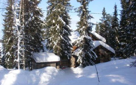 Rantapuro: Schnee, Winter, Baum, Holz, Ast, Hütte, Haus, Geologisches Phänomen, Einfrieren, Zuhause
