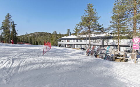 Vuosselin Helmi C25: Holz, Abstellgleis, Hütte, Haus, Zuhause, Planke, Gartenbauten, Blockhaus, Hartholz, Veranda