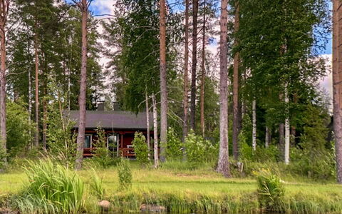 Kallioniemi: Baum, Natürliche Landschaft, Bank, Wald, Pflanzengemeinschaft, Wald, Hütte, See