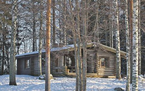 Mäntyniemi: Baum, Bank, Haus, Hütte, See, Teich, Wald, Blockhaus