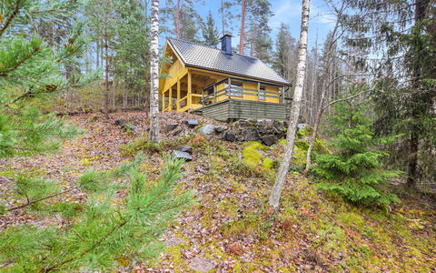 Mirus: Holz, Hütte, Blockhaus, Wald, Schuppen, Gartenbauten, Lärche, Wald, Holzbeize