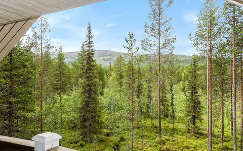 Kiela 1: Holz, Hütte, Blockhaus, Wald, Schuppen, Gartenbauten, Lärche, Wald, Holzbeize