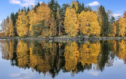 Kärkimökki: Baum, Bank, Haus, Hütte, See, Teich, Wald, Blockhaus