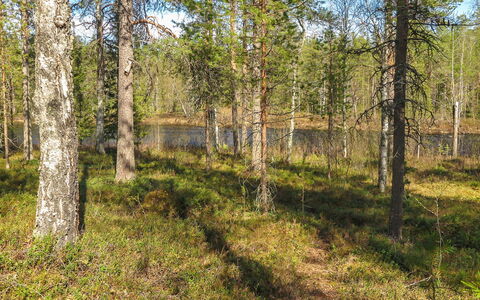 Kulpakko 3: Hütte, Haus, Zuhause, Gartenbauten, Abstellgleis, Blockhaus, Bauernhaus, Estate, Schuppen, Garten