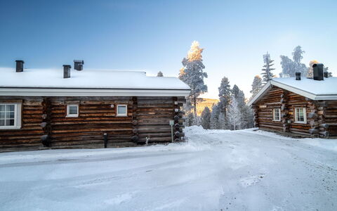 Lomaylläs D59 Palovaarankaarre 13 a: Holz, Hütte, Blockhaus, Wald, Schuppen, Gartenbauten, Lärche, Wald, Holzbeize