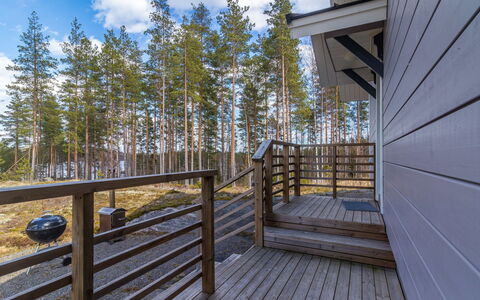 Hämyrinne: Holz, Hütte, Blockhaus, Wald, Schuppen, Gartenbauten, Lärche, Wald, Holzbeize