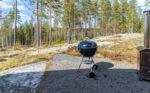 Hämyrinne: Holz, Hütte, Blockhaus, Wald, Schuppen, Gartenbauten, Lärche, Wald, Holzbeize