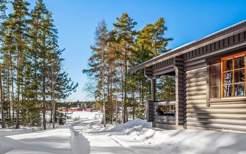 Marttalanmäki: Baum, Schnee, Winter, Holz, Hütte, Einfrieren, Zuhause, Blockhaus, Lärche