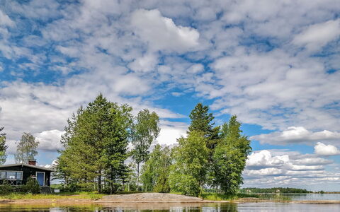 Inninniemi: Holz, Hütte, Blockhaus, Wald, Schuppen, Gartenbauten, Lärche, Wald, Holzbeize