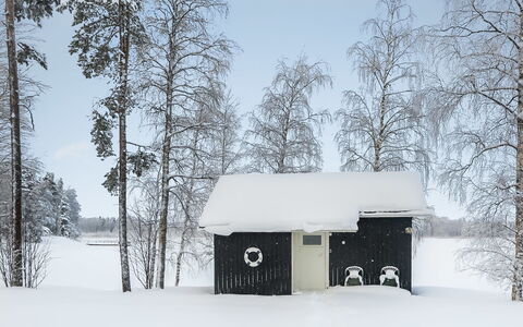 Inninniemi: Holz, Hütte, Blockhaus, Wald, Schuppen, Gartenbauten, Lärche, Wald, Holzbeize