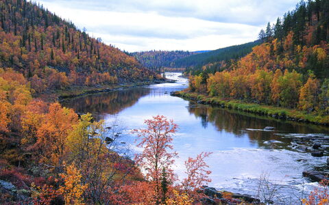Keskiniemi: Wasser, Pflanze, Wolke, Ökoregion, Himmel, Blatt, Natürliche Landschaft, Berg, Lärche, Hochland